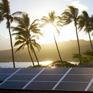 solar panels, palms trees and ocean at sunset