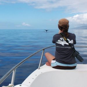 Researcher sitting at the end of a boat looking out on the ocean where a whale tail is visible.
