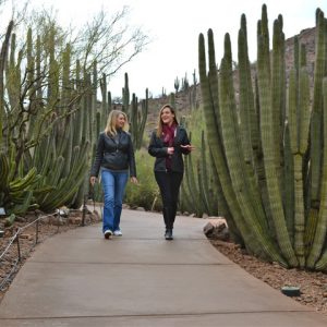 Two ASU faculty talking and walking on Desert Botanical Garden