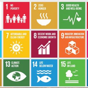 Color squares showing various images for SDGs