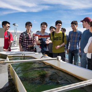 Visiting Chinese students gather around an outdoor algae bed 