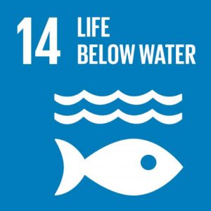 Icon of Sustainable Development Goal 14 showing fish and waves silhouette 