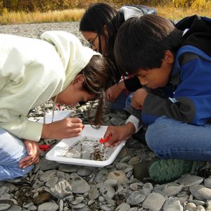 Three minority children conducting fieldwork experiment