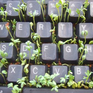 Keyboard with plant sprouts growing in between keys