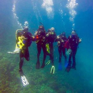 Gerber and Sabo scuba diving with group