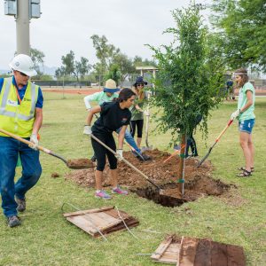 ASU students and utility volunteers plant trees as part of a carbon offset project