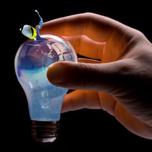 Montage of hand holding light bulb with water and fish inside