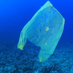 Plastic bag slowly decomposing and floating underwater