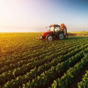 Tractor in farm field.