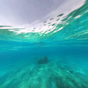 Underwater view of shallow water looking upwards to surface