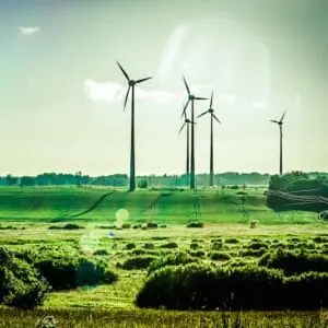 Image of wind turbines