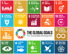 Graphic showing the 17 Sustainable Development Goals