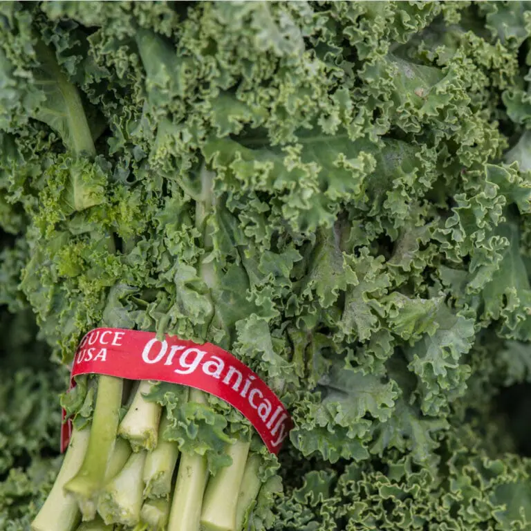 Bunch of orgasmic kale.