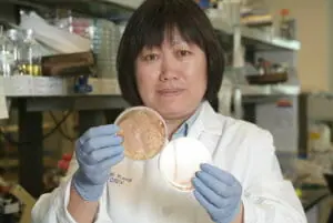 Wei Kong