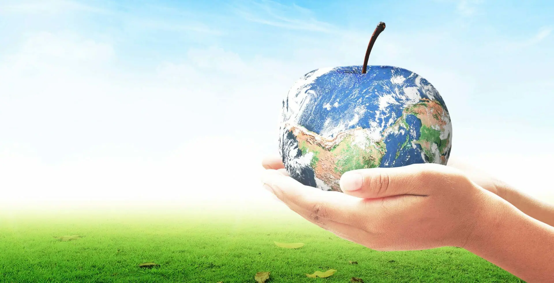 Hands holding an apple-shaped earth.