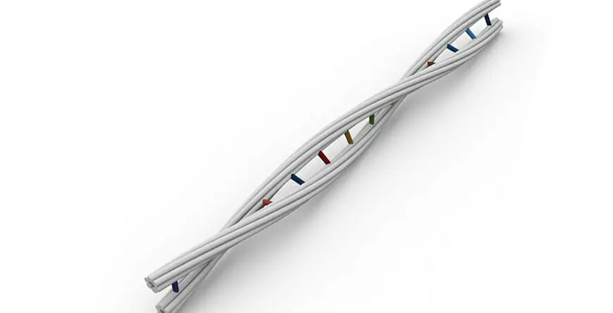 DNA strand