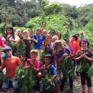 Group of school children in Hawai'i