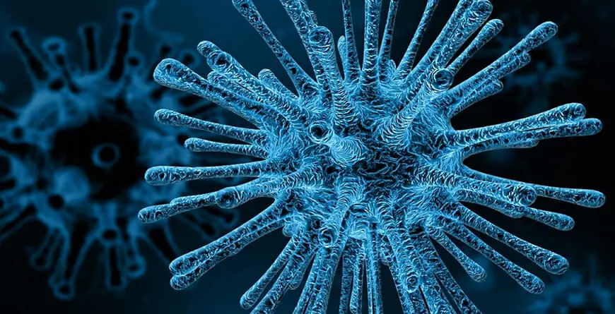 image of coronavirus