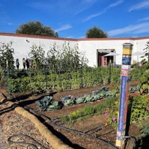 Garfield Elementary School garden.