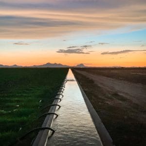 Irrigation ditch