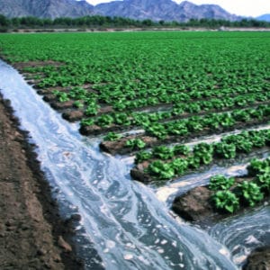 Farm field being irrigated.