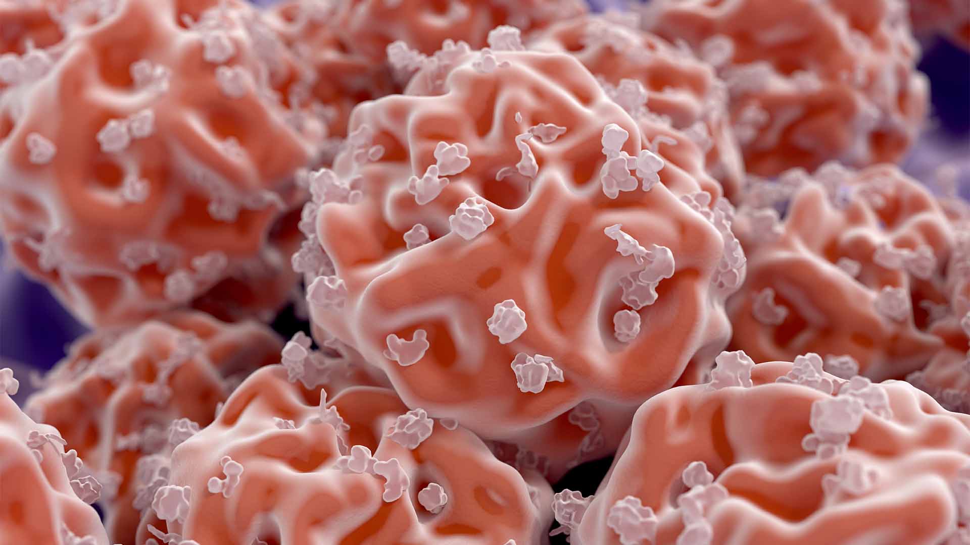 illustration of fetal cells