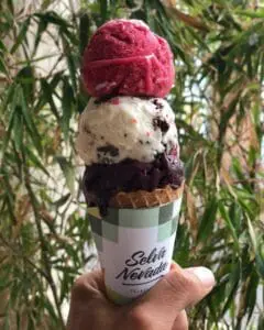 Selva Nevada ice cream