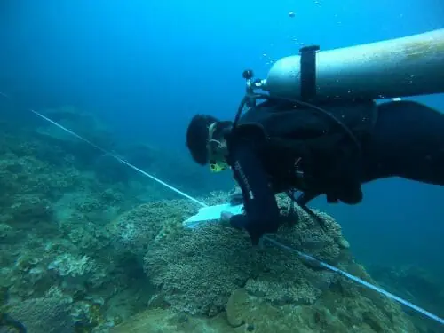 Scuba diver