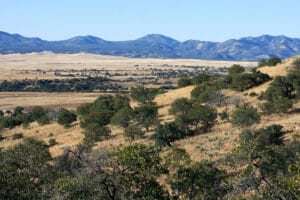 A semi-arid landscape with rolling hills, grassland, and distant mountains under a clear blue sky.